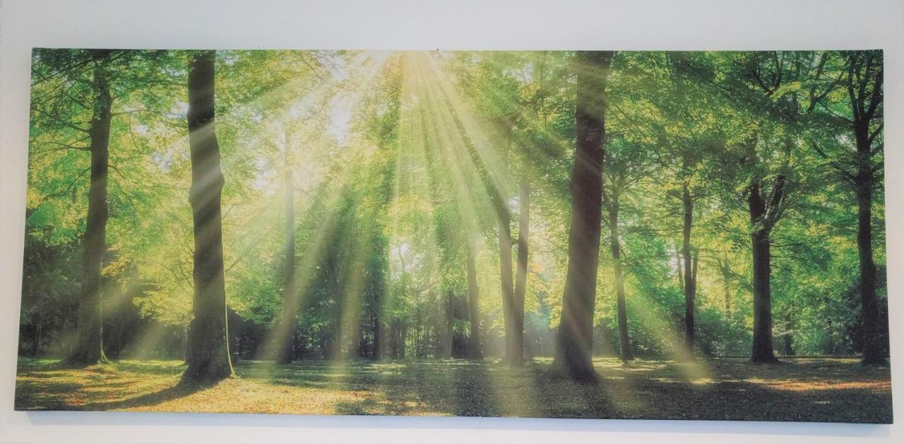 Ferienwohnungen Im Dorfe Soltau Exteriér fotografie