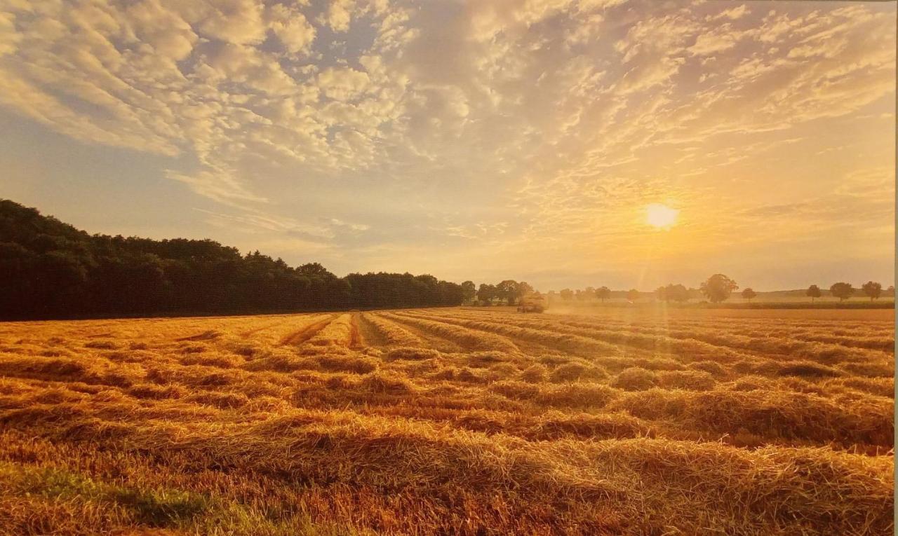Ferienwohnungen Im Dorfe Soltau Exteriér fotografie